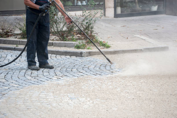 Best Sidewalk and Walkway Cleaning  in Wolfforth, TX